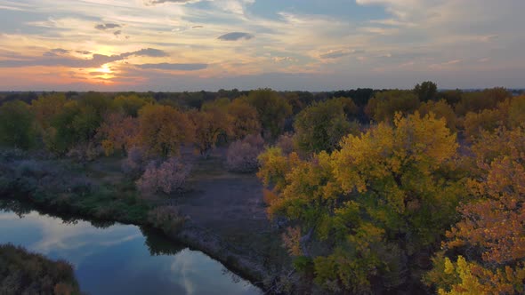 A vibrant fall display of color in sky and tree along the Platte river in Colorado,