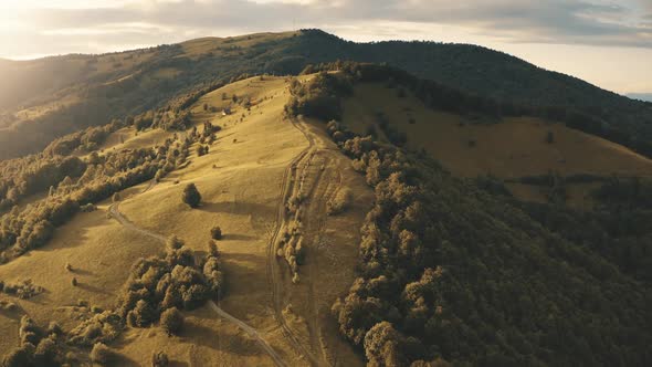 Green Forest Mountain Highland Valley Field in Countryside Rural Alps in France