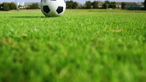 Soccer ball on green grass