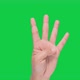 HAND (Green Sceen) count down from 5 to 0 - VideoHive Item for Sale