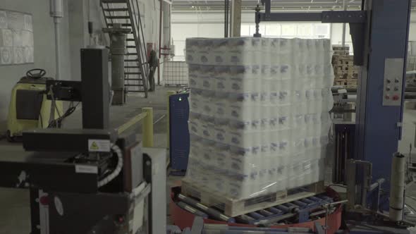 A Working Conveyor in a Paper Mill, Technology, Factory, Kyiv, Ukraine