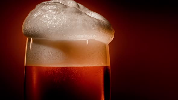 Lager Beer Settles in the Glass with a White Cap of Foam