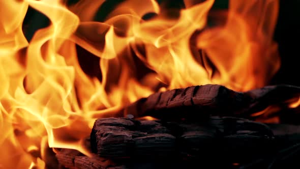 Black smoldered logs with vivid flame. Campfire at night. Burning logs in orange flames in darkness.