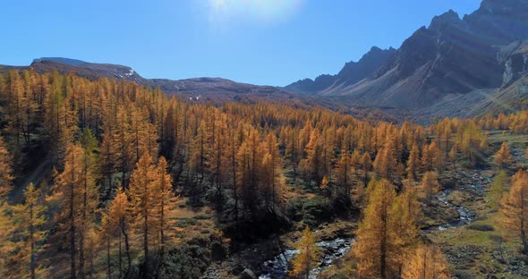 Forward Aerial Over Alpine Mountain Valley and Orange Larch Forest Woods in Sunny Autumn