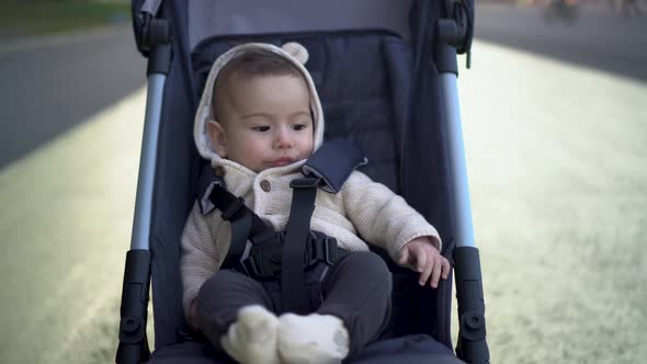 A Little Boy in a Stroller Rides Through the Park