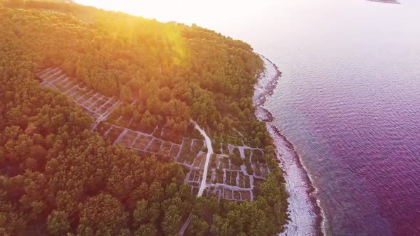 Dalmatian Coastline Footage