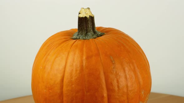 Halloween pumpkin with on a white background rotates 360. Close-up of an orange pumpkin.