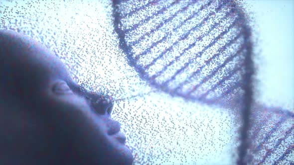 Human Origen DNA Genetic Molecular Structure