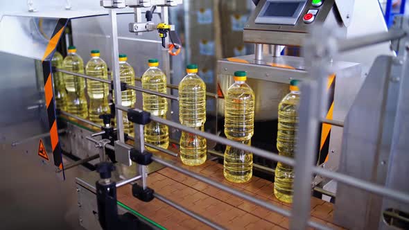 Modern factory of food oil production