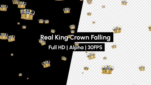 Real Golden King Blue Crown Falling With Alpha