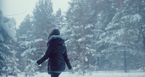 Beautiful Woman Walks in the Winter Forest the Trees are Covered with Snow