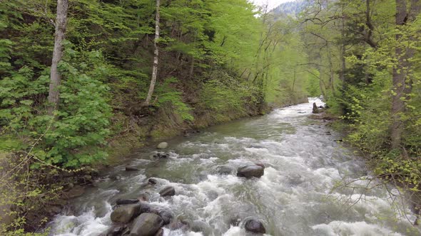 Rapid Mountain River in Summer Season Panning