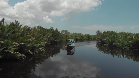 Calm river in the middle of the jungle in the south of Borneo, Indonesia. Boat sailing, sunny day, g