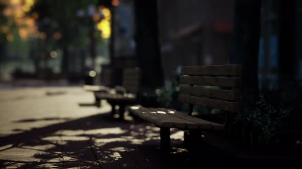 Lockdown Coronavirus Covid19 Empty Streets alt