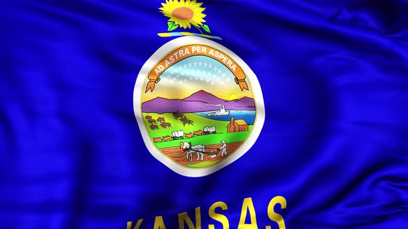 Kansas State Flag