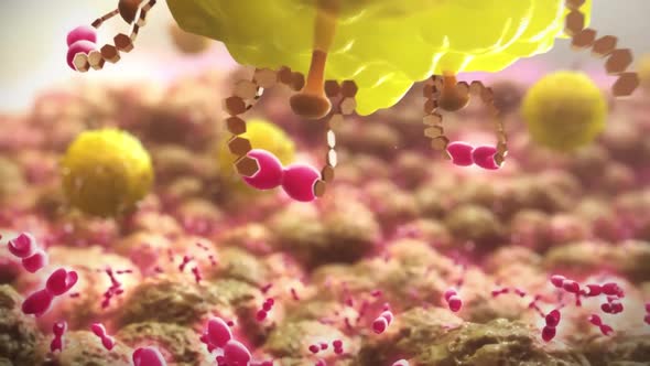 Antibodies in the bloodstream that are part of our immune system alt