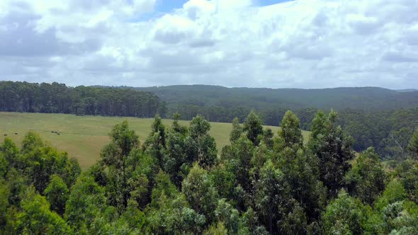 Australian Outback Farmland Aerial Flyover in the Summer