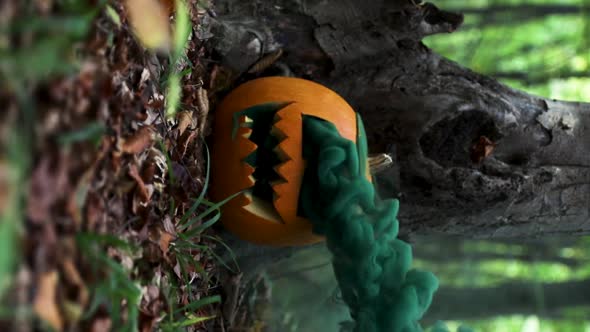 Vertical shot of a Halloween carved pumpkin with a smoke bomb inside, in a forest with a blurred bac