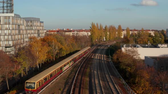 Passanger Train with Graffiti Passing By Trees in Big City Berlin, Germany at Golden Hour Sunset