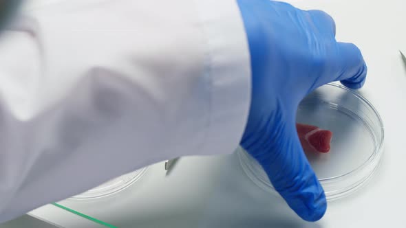 Medical Scientist Specialist Putting Meat in Dish with Tweezers Closing and Signing in Food