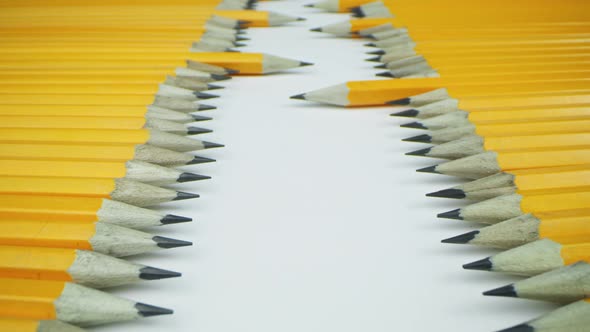 Yellow Pencils Lie Opposite Each Other in a Row