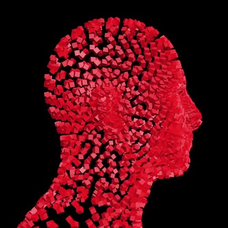 Human Head from Rotating Cubes