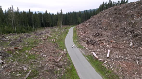 Following directly behind a lone SUV traveling through a clear cut forest area, aerial