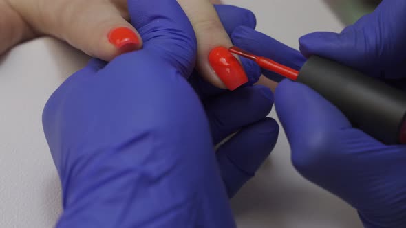 Closeup of Professional Beautician Manicure Master Polish Nail. Woman Getting Nail Manicure. Cover