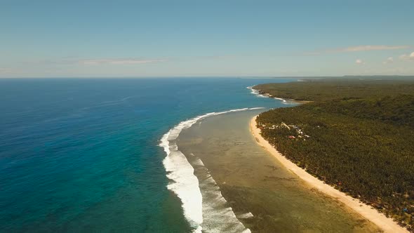 Coast of Tropical Island.