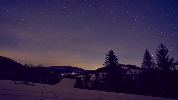 Night Sky with Stars in Winter Landscape in the Forest