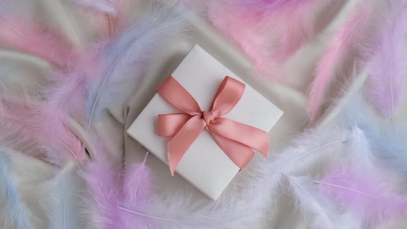 Bird Feathers Flying Into White Gift Box with Pink Ribbon