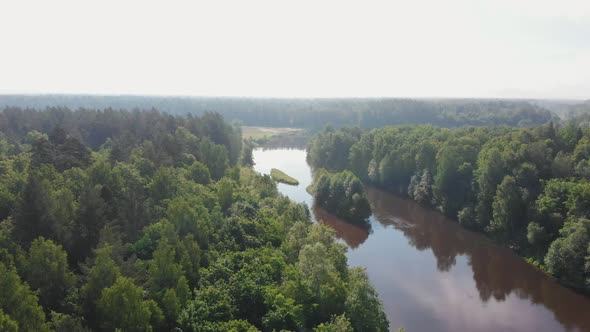 Landscape of Nature While Bright Day - the River Extends Between the Forest