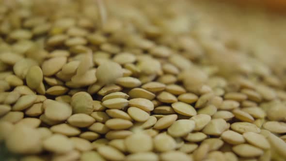 Close-up of Pumpkin Seeds Falling Down Into Box in Grocery Store. Beige Hulled Kernels for Sale on
