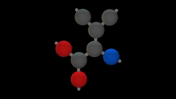 L-valine - Amino acid model