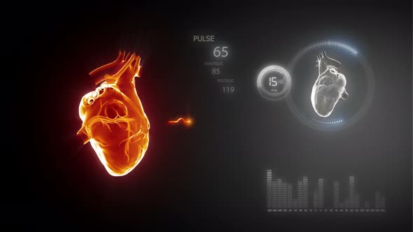 Heart Blood Pumping. Coronary Circulation. Science And Health Related 3D Animation.