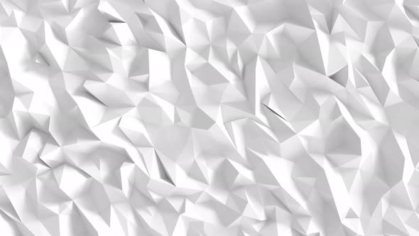 White Polygon Background design. Abstract geometric backdrop