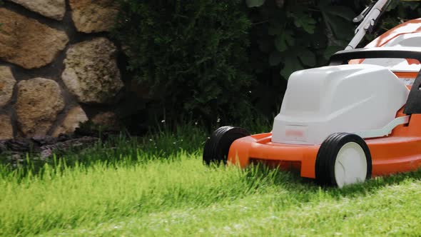 Close up shot of a man mows the grass in the backyard with an electric lawn mower