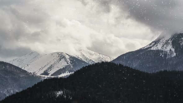 Snowstorm in Winter Mountains