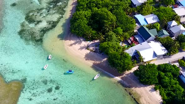 Aerial drone panorama of tropical tourist beach wildlife by blue sea with sand background