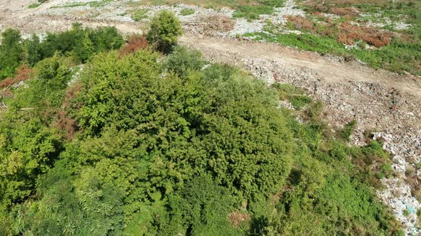 Aerial View of Dump in Forest in Pollution Concept