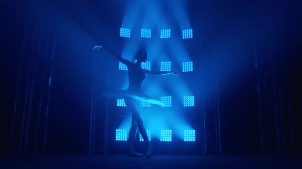 Graceful Silhouette Ballerina Doing a Workout in the Classroom. Smoke in the Rays of Blue Light