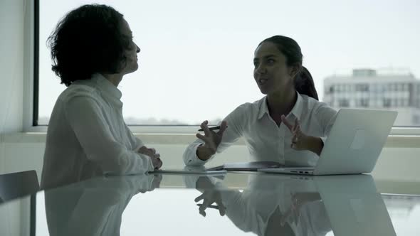 Smiling Businesswomen Using Laptop and Talking