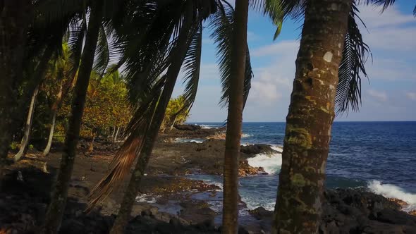 Coastline of Hawaii