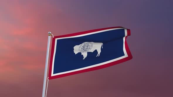 Flag Of Wyoming Waving 4k