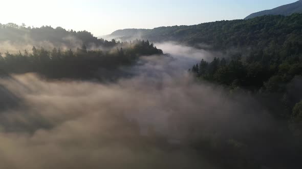 Flying above the river and fog