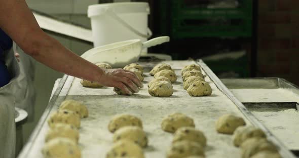 Baker Dipping Hand On Flour Before Putting Cookie Dough With Raisins On The Baking Tray. - close up