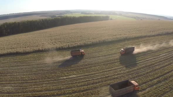 Trucks driving in the field, aerial view