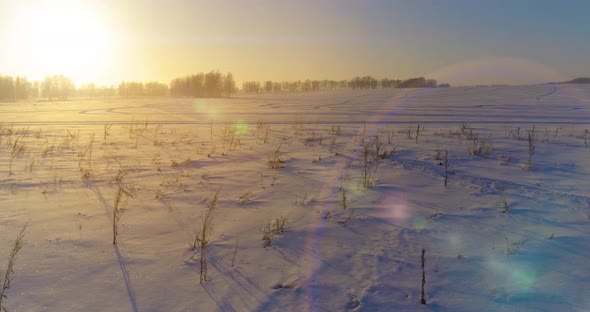 Aerial Drone View of Cold Winter Landscape with Arctic Field Trees Covered with Frost Snow and