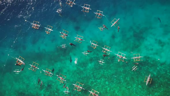 Aerial view of tourists swimming with whale sharks, Oslob, Philippines.