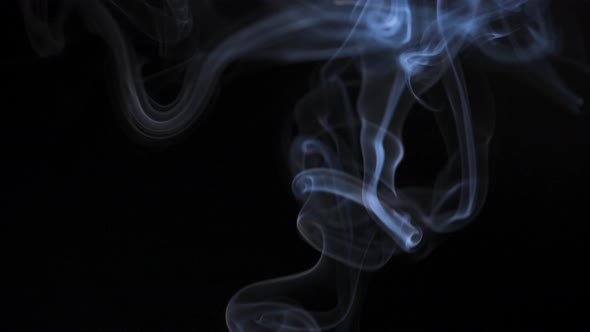 Abstract Smoke Rises Up in Beautiful Swirls on a Black Background